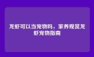 龙虾可以当宠物吗，家养观赏龙虾宠物指南