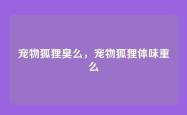 宠物狐狸臭么，宠物狐狸体味重么