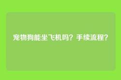 宠物狗能坐飞机吗？手续流程？