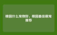 桃园什么宠物好，桃园最佳萌宠推荐