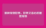 那种宠物好养，好养又省心的理想宠物