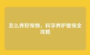 怎么养好宠物，科学养护爱宠全攻略