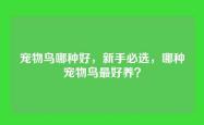 宠物鸟哪种好，新手必选，哪种宠物鸟最好养？