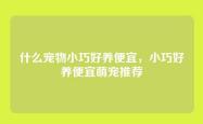 什么宠物小巧好养便宜，小巧好养便宜萌宠推荐