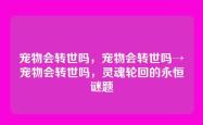 宠物会转世吗，宠物会转世吗→宠物会转世吗，灵魂轮回的永恒谜题
