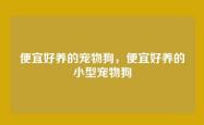 便宜好养的宠物狗，便宜好养的小型宠物狗