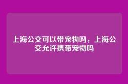 上海公交可以带宠物吗，上海公交允许携带宠物吗