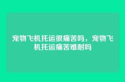 宠物飞机托运很痛苦吗，宠物飞机托运痛苦难耐吗