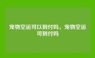 宠物空运可以到付吗，宠物空运可到付吗