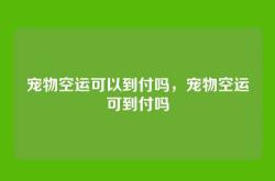 宠物空运可以到付吗，宠物空运可到付吗