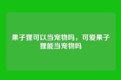 果子狸可以当宠物吗，可爱果子狸能当宠物吗