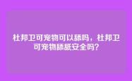 杜邦卫可宠物可以舔吗，杜邦卫可宠物舔舐安全吗？