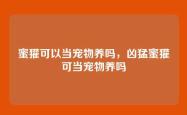 蜜獾可以当宠物养吗，凶猛蜜獾可当宠物养吗