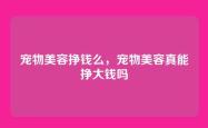 宠物美容挣钱么，宠物美容真能挣大钱吗