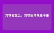 宠物貂臭么，宠物貂体味重不重