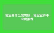 寝室养什么宠物好，寝室宜养小宠物推荐