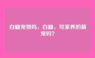 白鼬宠物吗，白鼬，可家养的萌宠吗？