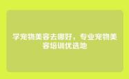 学宠物美容去哪好，专业宠物美容培训优选地