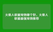 火柴人联盟宠物哪个好，火柴人联盟最强宠物推荐