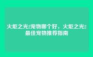 火炬之光2宠物哪个好，火炬之光2最佳宠物推荐指南