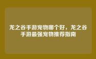 龙之谷手游宠物哪个好，龙之谷手游最强宠物推荐指南