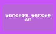宠物汽运会死吗，宠物汽运会致命吗