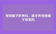 宠物蝎子好养吗，新手养宠物蝎子容易吗