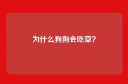 为什么狗狗会吃草？