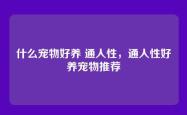 什么宠物好养 通人性，通人性好养宠物推荐