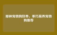 那种宠物狗好养，乖巧易养宠物狗推荐