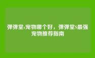 弹弹堂s宠物哪个好，弹弹堂S最强宠物推荐指南