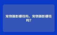 宠物摄影赚钱吗，宠物摄影赚钱吗？