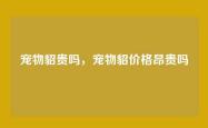 宠物貂贵吗，宠物貂价格昂贵吗