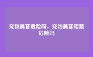 宠物美容危险吗，宠物美容暗藏危险吗
