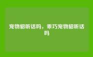 宠物貂听话吗，乖巧宠物貂听话吗
