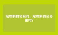 宠物刺猬冬眠吗，宠物刺猬会冬眠吗？