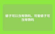貉子可以当宠物吗，可爱貉子可当宠物吗