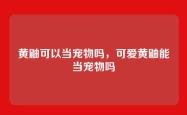 黄鼬可以当宠物吗，可爱黄鼬能当宠物吗