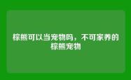 棕熊可以当宠物吗，不可家养的棕熊宠物