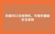 豹猫可以当宠物吗，可爱豹猫能否当宠物