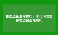 狐狸适合当宠物吗，乖巧可爱的狐狸适合当宠物吗