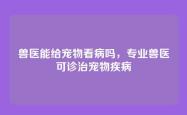 兽医能给宠物看病吗，专业兽医可诊治宠物疾病