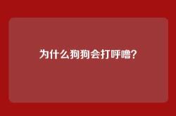 为什么狗狗会打呼噜？