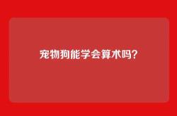 宠物狗能学会算术吗？
