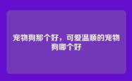宠物狗那个好，可爱温顺的宠物狗哪个好