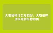 天地诸神什么宠物好，天地诸神顶级宠物推荐指南