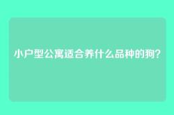 小户型公寓适合养什么品种的狗？
