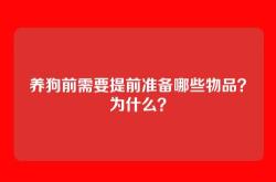 养狗前需要提前准备哪些物品？为什么？