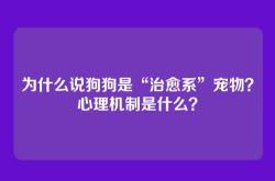 为什么说狗狗是“治愈系”宠物？心理机制是什么？