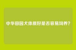 中华田园犬体质好是否容易饲养？